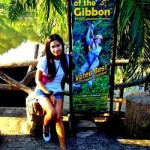 Flight of the gibbon