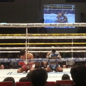 Muay Thai - Thai Boxing